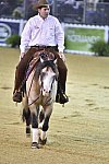 WEG-Reining-8-30-14-0000586-JordanLarson-HFMobster-USA-DDeRosaPhoto