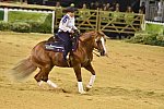WEG-Reining-8-30-14-0000655-MandyMcCutcheon-YellowJersey-USA-DDeRosaPhoto