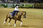 WEG-Reining-8-30-14-0000684-MandyMcCutcheon-YellowJersey-USA-DDeRosaPhoto