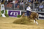 WEG-Reining-8-30-14-0000702-MandyMcCutcheon-YellowJersey-USA-DDeRosaPhoto