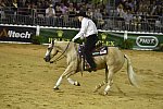 WEG-Reining-8-30-14-0000488-TomMcCutcheon-DunGetANicadual-USA-DDeRosaPhoto