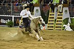 WEG-Reining-8-30-14-0000502-TomMcCutcheon-DunGetANicadual-USA-DDeRosaPhoto