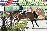 WEG1-SJ-Team1-9-3-14-0008410-DarraghKenny-Imothep-IRL-DDeRosaPhoto