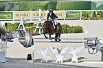 WEG1-SJ-Team2-9-4-14-0001775-DarraghKenny-Imothep-IRL-DDeRosaPhoto
