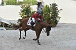 WEG1-SJ-Team2-9-4-14-0002751-LucyDavis-Barron-USA-DDeRosaPhoto