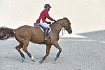 WEG1-SJ-Team2-9-4-14-0002048-McLainWard-Rothchild-USA-DDeRosaPhoto