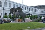 049-WEG-8-18-19-06-&copy;DDeRosaPhoto.jpg