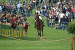 987-WEGXX-8-26-06-_DeRosaPhoto.JPG
