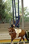 108-WEG-Vaulting-8-24-06-&copy;DeRosaPhoto.jpg