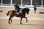 WEG-DRTst-4-20-10-0145-Ikaros-NadineSchlonsok-DDeRosaPhoto.jpg