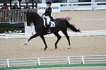 WEG-DRTst-4-20-10-0260-LuckyTiger-PierreStJacques-DDeRosaPhoto.jpg