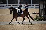 WEG-DRTst-4-21-10-0711-LuckyTiger-PierreStJacques-DDeRosaPhoto.jpg