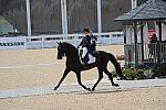 WEG-DRTst-4-21-10-0762-Leonberg-MikalaMunterGunderse-DDeRosaPhoto.jpg