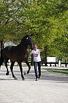 WEG-DRTst-4-20-10-0011-Leonberg-MikalaMunterGunderse-DDeRosaPhoto.jpg
