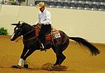 WEG-7-21-09-0016-ReiningTest-AaronRalston-DoubleMyWhiskey-USA-DDeRosaPhoto.jpg