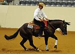 WEG-7-21-09-0020-ReiningTest-AaronRalston-DoubleMyWhiskey-USA-DDeRosaPhoto.jpg
