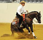 WEG-7-21-09-0036-ReiningTest-AaronRalston-DoubleMyWhiskey-USA-DDeRosaPhoto.jpg