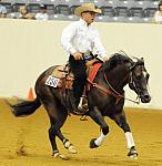 WEG-7-21-09-0045-ReiningTest-AaronRalston-DoubleMyWhiskey-USA-DDeRosaPhoto.jpg