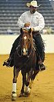 WEG-7-21-09-0070-ReiningTest-AlbertoHawa-GrabYourGuns-MEX-DDeRosaPhoto.jpg