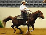 WEG-7-21-09-0072-ReiningTest-AlbertoHawa-GrabYourGuns-MEX-DDeRosaPhoto.jpg
