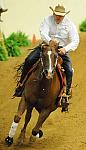 WEG-7-21-09-0103-ReiningTest-DaveYoung-AngelsMark-CAN-DDeRosaPhoto.jpg