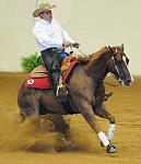 WEG-7-21-09-0109-ReiningTest-DaveYoung-AngelsMark-CAN-DDeRosaPhoto.jpg