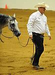 WEG-7-21-09-0192-ReiningTest-DellHendricks-StarbucksSidekick-DDeRosaPhoto.jpg