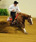 WEG-7-21-09-0368-ReiningTest-TomMcCutcheon-DarlinsNotPainted-USA-DDeRosaPhoto.jpg
