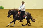 WEG-7-21-09-0524-ReiningTest-ShawnFlarida-SmartSpook-USA-DDeRosaPhoto.jpg