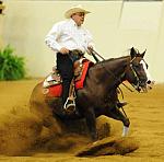 WEG-7-21-09-0714-ReiningTest-FrancoisGauther-SmartysLilImage-CAN-DDeRosaPhoto.jpg