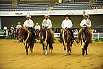 WEG-7-21-09-0759-ReiningTest-DDeRosaPhoto.jpg
