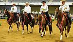 WEG-7-21-09-0767-ReiningTest-DDeRosaPhoto.jpg