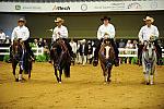 WEG-7-21-09-0775-ReiningTest-DDeRosaPhoto.jpg