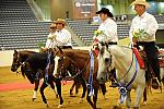 WEG-7-21-09-0781-ReiningTest-DDeRosaPhoto.jpg