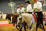 WEG-7-21-09-0782-ReiningTest-DDeRosaPhoto.jpg