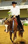 WEG-7-21-09-0834-ReiningTest-DDeRosaPhoto.jpg