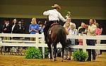 WEG-7-21-09-0844-ReiningTest-DDeRosaPhoto.jpg