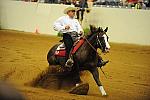 WEG-7-23-09-0934-ReiningTest-FrancoisGauthier-SmartysLilImage-CAN-DDeRosaPhoto.jpg