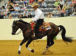 WEG-7-23-09-1019-ReiningTest-AaronRalston-DoubleMyWhiskey-USA-DDeRosaPhoto.jpg