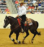 WEG-7-23-09-1027-ReiningTest-AaronRalston-DoubleMyWhiskey-USA-DDeRosaPhoto.jpg