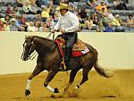 WEG-7-23-09-1098-ReiningTest-DaveYoung-AngelsMark-CAN-DDeRosaPhoto.jpg