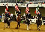 WEG-7-23-09-1297-ReiningTest-DDeRosaPhoto.jpg