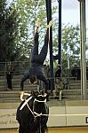 282-WEG-Vaulting-8-24-06-DeRosaPhoto