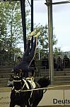 287-WEG-Vaulting-8-24-06-DeRosaPhoto