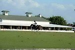 IPC-Polo-1-8-17-6625-DDeRosaPhoto