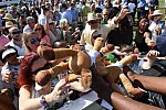 IPC-3-19-17-8379-DDeRosaPhoto