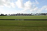 IPC-Polo-1-1-17-5886-DDeRosaPhoto