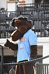 IPC-Polo-1-1-17-1099-DDeRosaPhoto