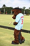 IPC-Polo-1-1-17-1106-DDeRosaPhoto