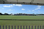 IPC-Polo-1-8-17-6291-DDeRosaPhoto